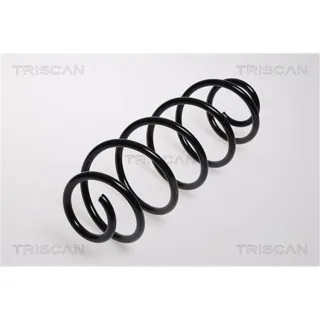 Triscan Feder hinten Citroen C3 87502867