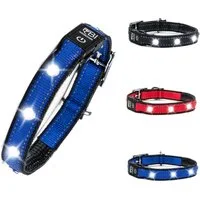 Petsation Hunde-Halsband Leuchthalsband für Hunde [Das Original] Leuchtendes LED Hundehalsband