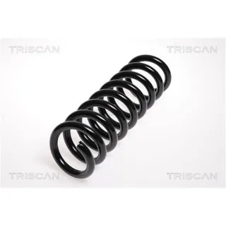 Triscan Feder hinten Mercedes E-Klasse W211 87502382