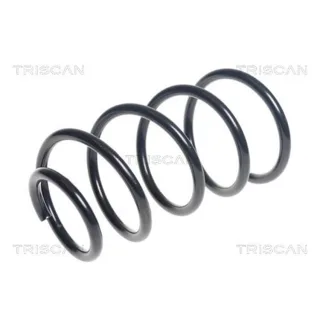 Triscan Feder vorne Mini 875011183