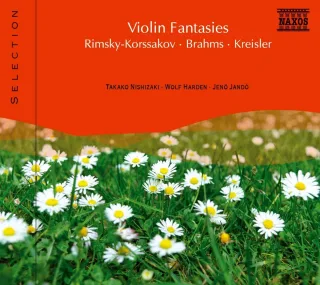 Violin Fantasies
