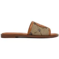 BEVERLY HILLS POLO CLUB Beverly Hills Polo Club Damen-Flip-Flops, braun Badepantolette
