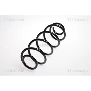 Triscan Feder hinten Citroen C2