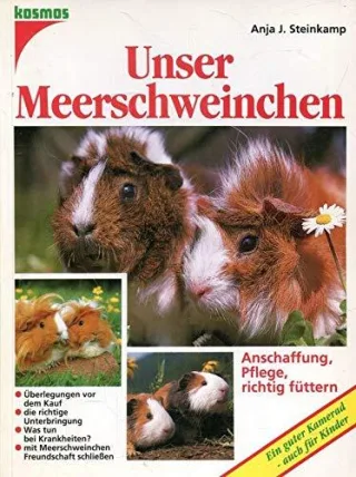 Unser Meerschweinchen