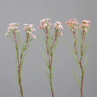 Kunstblume Waxkraut