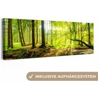 OneMillionCanvasses® Leinwandbild Panorama Wald - Landschaft - Wasser - Bäume - Sonne - Grün - Natur, Fotodruck (1 St), Wandbild, Deko Schlafzimmer Wohnzimmer Flur 60x20 cm