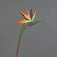 Kunstblume Dekoblume Strelitzie DONGLIN, orange-violett, 85 cm Strelitzie, artplants, Höhe 85.0 cm