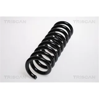 Triscan Feder hinten Mercedes Clk 875023120