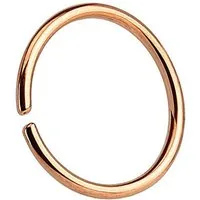 Taffstyle Nasenpiercing piercing Septum Ring Tragus Helix Ohr Lippen Intim, Universal Continuous biegbarer Fake Hoop Ring Ohr Nase Lippe Nasenring