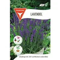 FRANKONIA Kräutersamen Lavendel - Duftintensiv Kräuter-Samen Gewürz Saatgut Samen, Lavandula officinalis