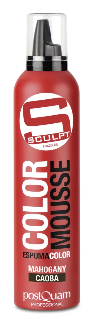 FARB-SCHAUMFESTIGER MAHAGONI 300 ML.