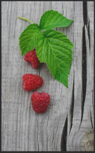Fussmatte Himbeere 7222 | Größe: 60 cm x 90 cm
