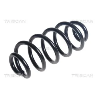 Triscan Feder hinten Renault Twingo 3