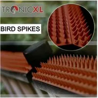 TronicXL Taubenspikes 10 Stück Tauben Spikes Streifen Tierabwehr Vogel Abwehr Kunststoff