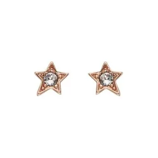 Karl Lagerfeld Ohrstecker 5483749