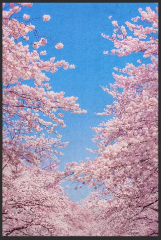 Fussmatte Kirschblüten 10365 | Größe: 60 cm x 90 cm