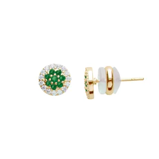 US Polo Assn Jewellery Celine Gelbgold-Ohrringe