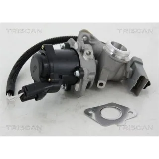 Triscan AGR-Ventil Ford Focus Volvo C30 S40 V50 1,6
