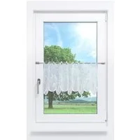 Plauener Spitze® Scheibengardine Melanie (1 St), transparent, HxB 35x48.6cm