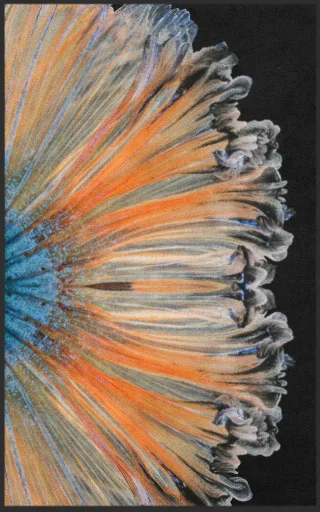 Fussmatte 7774 | Größe: 60 cm x 90 cm