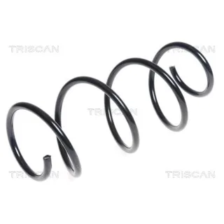 Triscan Feder vorne Renault Clio 3 875025123