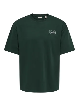 ONLY&SONS - ONSPARKS GALLERY AIR BOXY SS TEE NOOS Pine Grove - Gr. - XL