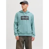 Jack & Jones Kapuzensweatshirt JJCOLE PRINT SWEAT HOOD UNB