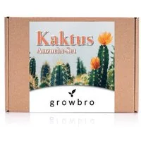 Kunstkaktus KAKTUS Anzuchtset inkl. Sprühflasche PERFEKTES GESCHENK, growbro, - Bekannt aus Social Media