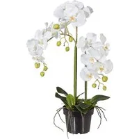 Kunstblume Kunstorchidee Orchidee, Creativ green, Höhe 62 cm