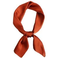 Zaewry Seidentuch Damen Seidentuch Leicht Seidenschal Bandana Halstuch Kopftuch, Elegante Schal Tuch Geschenk für Frauen