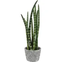 Kunstpflanze Sanseveria, Creativ green, Höhe 46 cm