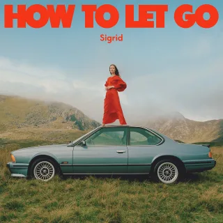 How to Let Go [Vinyl LP]
