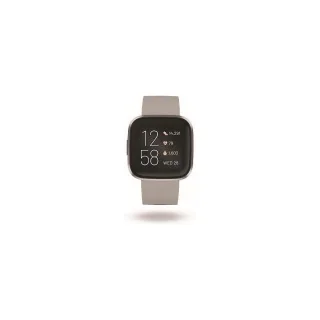 Fibit Smartwatch FB507GYSR