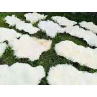 Provellus Fellteppich Hell Öko Schaffell Lammfell Naturfell Weich Bis 150cm 2.Wahl, 30x30cm rund