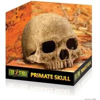 Exo Terra Terrariendeko Versteck Primate Skull