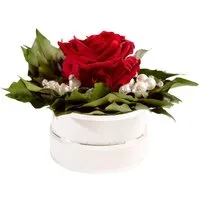 Kunstblume Infinity Rosenbox Diamonds and Pearls 1 infinity Rose Rose, ROSEMARIE SCHULZ Heidelberg, Höhe 10 cm, echte Blume die lange hält, Made in Germany