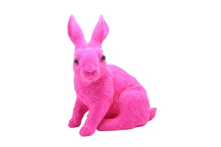 30 cm