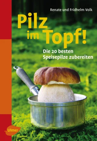 Pilz in Sicht! / Pilz im Topf! - Die 20 besten Speisepilze sammeln / Die 20 besten Speisepilze zubereiten