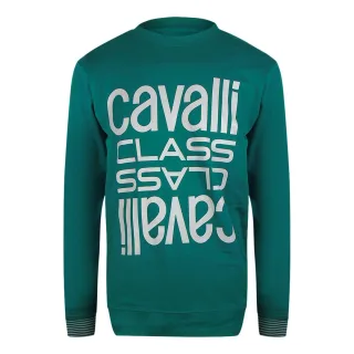 Cavalli Class - Ottanio - Sweatshirt Mit Rundhalsausschnitt Und Kräftigem Multi-logo In Grün