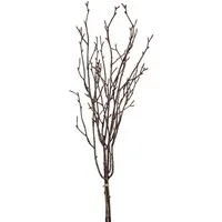 Kunstzweig Kunstblumen, formano, Höhe 74 cm, Höhe: 74cm, Farbe: Braun, Motiv: Zweige