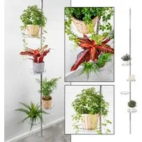 Haushalt International Blumenständer Teleskop Blumenregal mit runden Abstellflächen aus Glas, Einfache und schnelle Montage ohne zu bohren