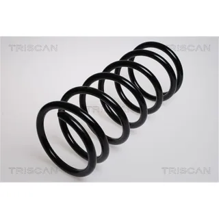 Triscan Feder vorne Citroen Fiat Peugeot 875028305