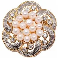 Firetti Brosche Schmuck Geschenk Ansteckschmuck Blume Glitzersteine, mit Strassstein - mit Süßwasserzuchtperle