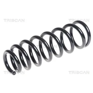 Triscan Feder hinten Hyundai Sonata 4 2,0