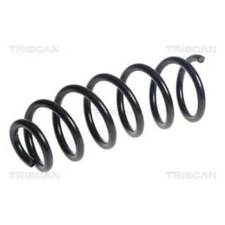 Triscan Feder hinten Dacia Sandero 1,5 875025140