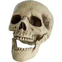 Horror-Shop Dekoobjekt Totenkopf mit beweglichem Kiefer 20cm als Deko