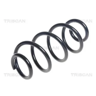 Triscan Feder hinten Suzuki Swift 4 1,6