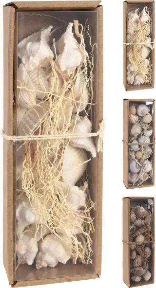 Muscheln