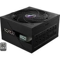 GP-AE850PM PG5, PC-Netzteil schwarz, 850 Watt