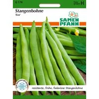 SAMEN PFANN Gemüsesamen Stangenbohne Eva, zarte Bohnen-Samen resistent fadenlos ertragreich, Phaseolus vulgaris
